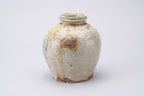 Sadamitsu Sugimoto Wood-Fired Jar