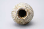Sadamitsu Sugimoto Wood-Fired Jar